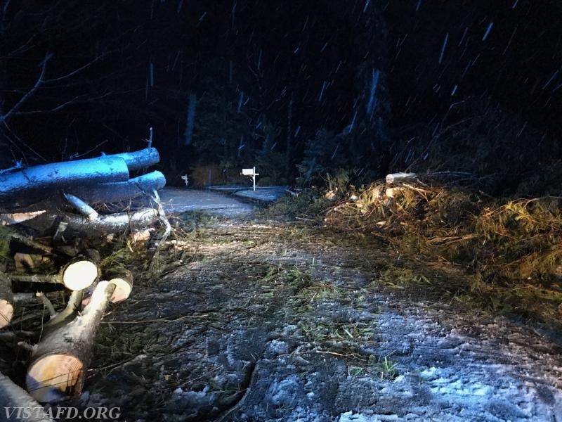 Fallen trees during &quot;Winter Storm Riley&quot; - 03/02/18