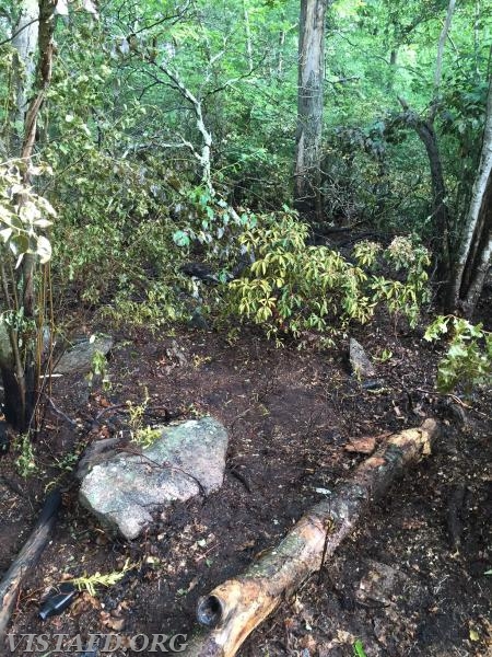 The Vista Fire Department responded to a Brush Fire in the area of Shady Lane - 6/23/16