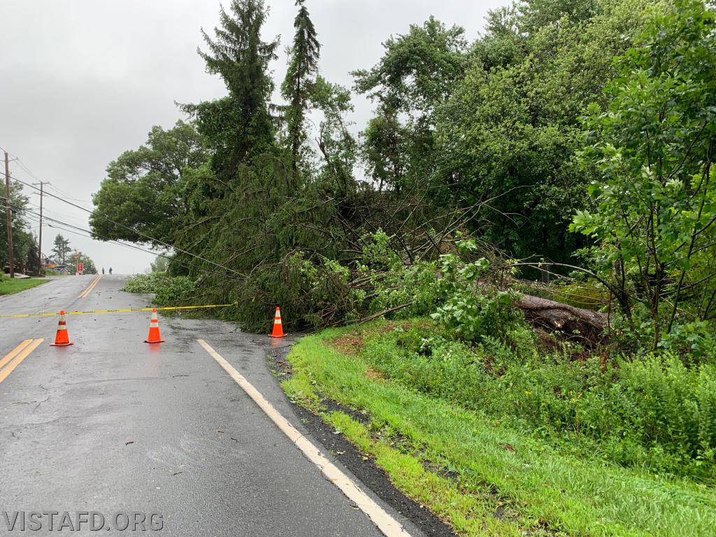 Trees and wires down at the intersection of Smith Ridge Road and Tommy's Lane - 08/04/20