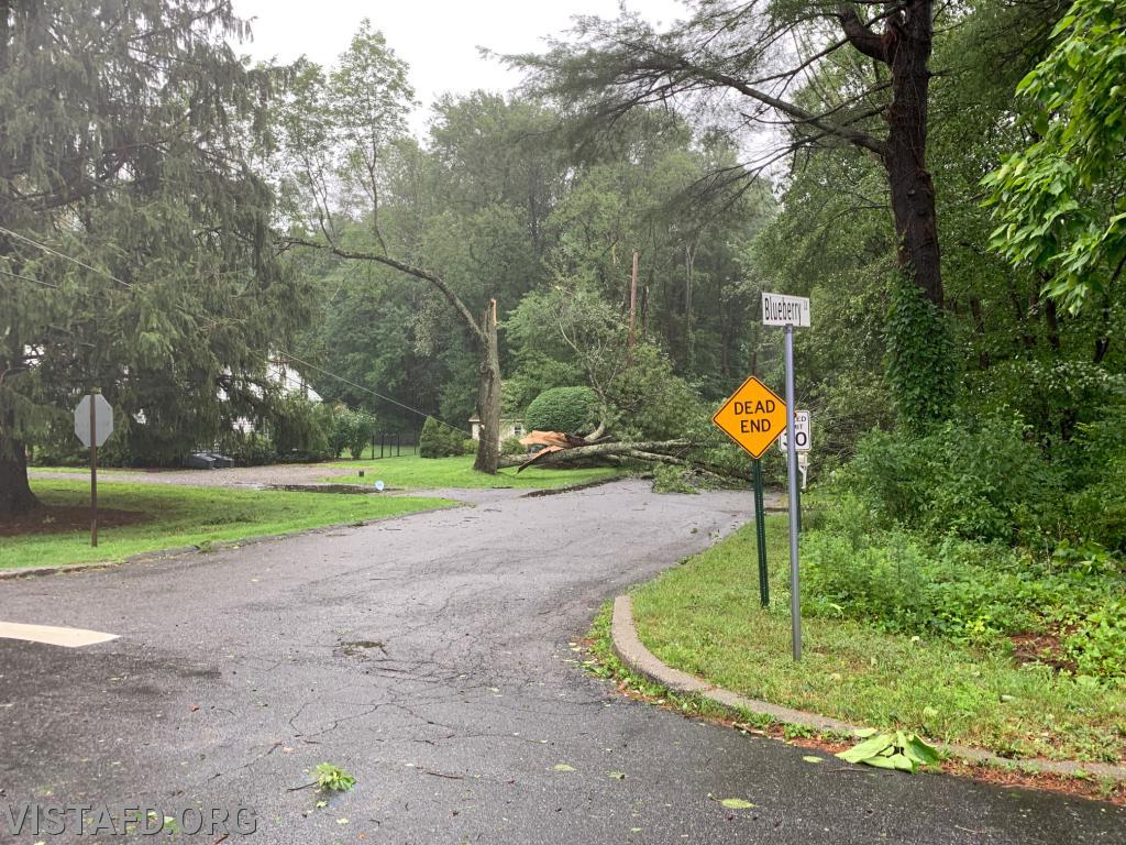 Trees and wires down at Blueberry Lane - 08/04/20